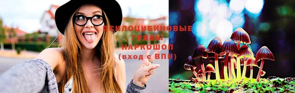 дурь Баксан