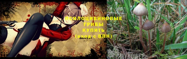 амфетамин Снежногорск