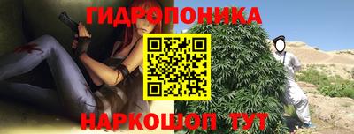 a pvp Кунгур