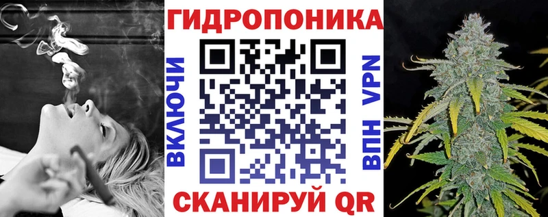 Канабис сатива Коммунар